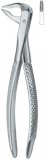 Tooth Extracting Forceps|(eng)