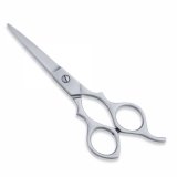 Economy Scissor